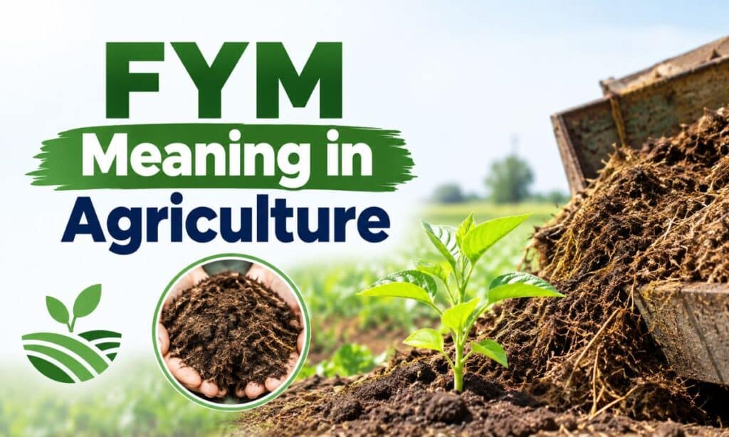 FYM Meaning in Agriculture